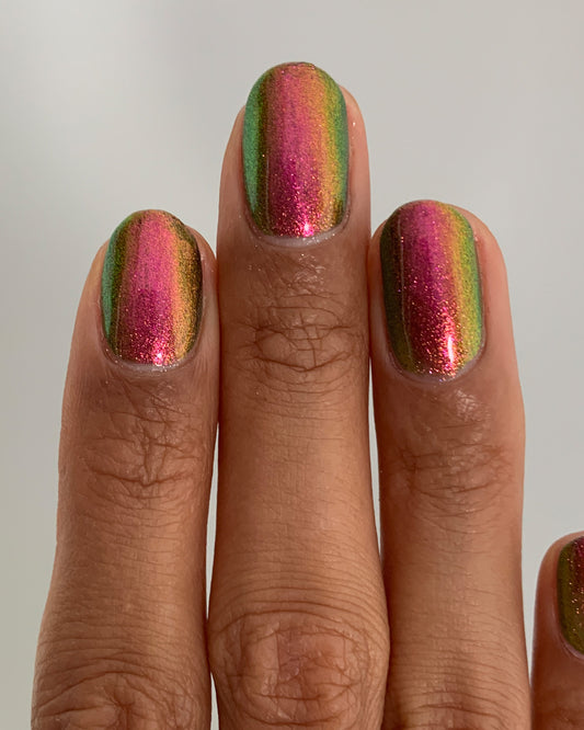 Jewel Beetle preview