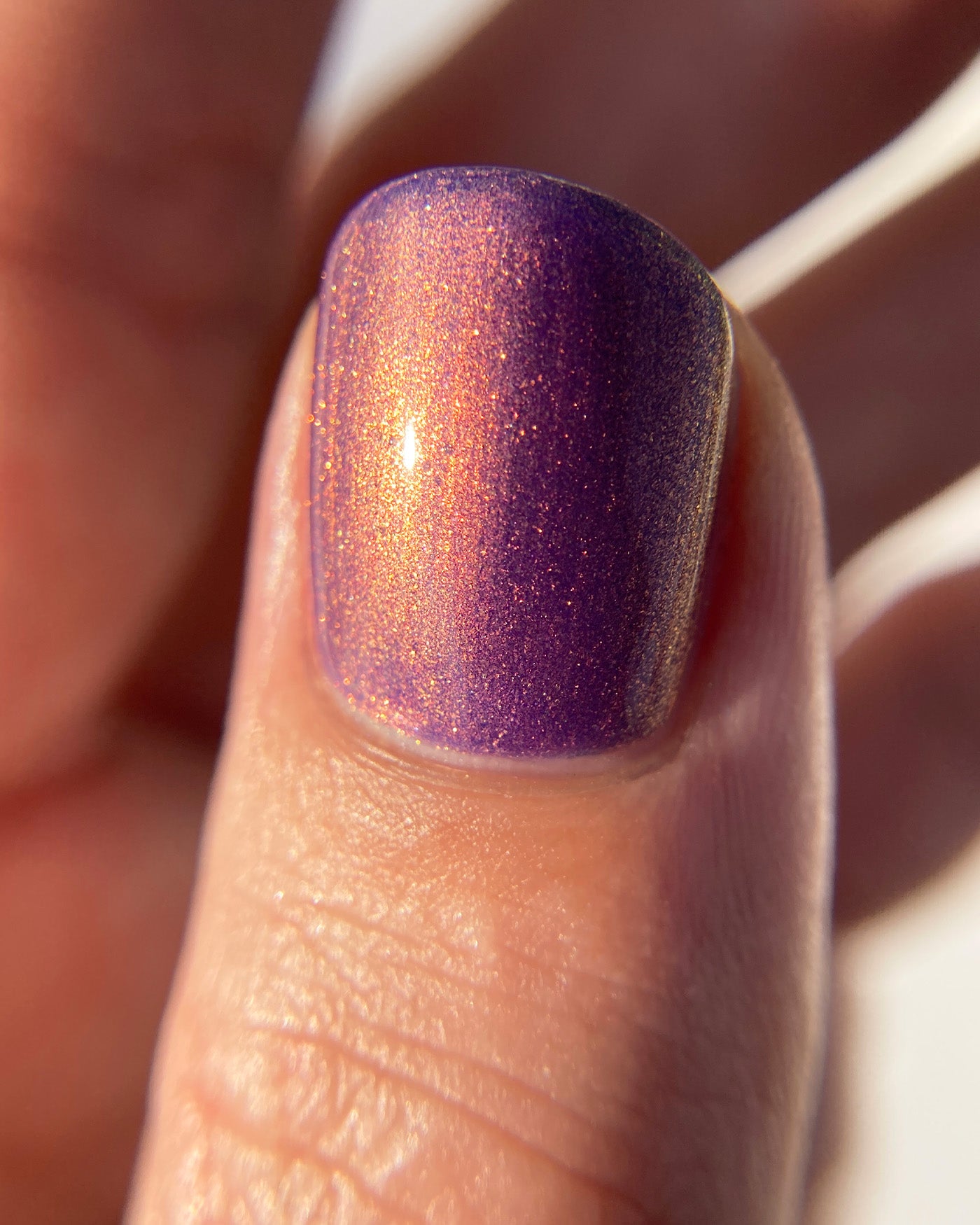 Take Me to Your Leader